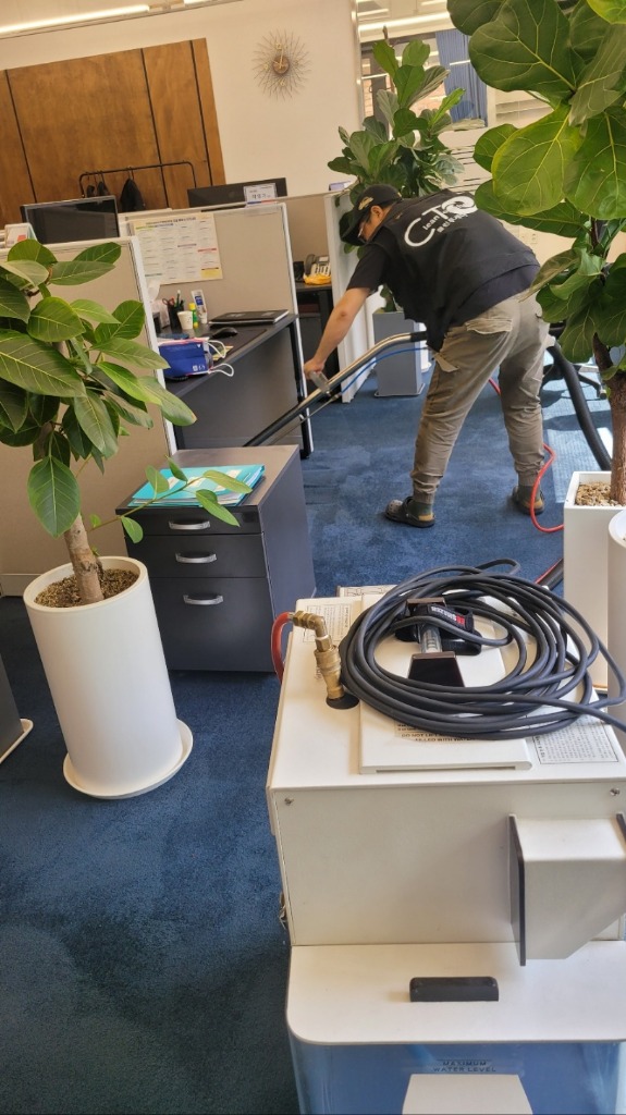Office Cleaning Showcase
